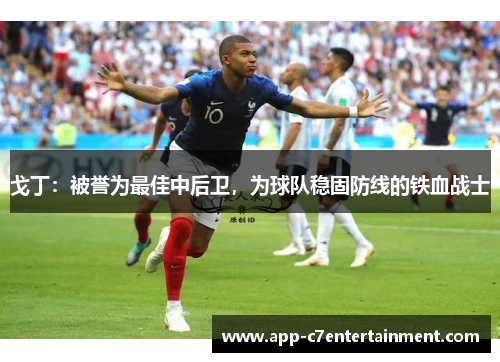 戈丁：被誉为最佳中后卫，为球队稳固防线的铁血战士