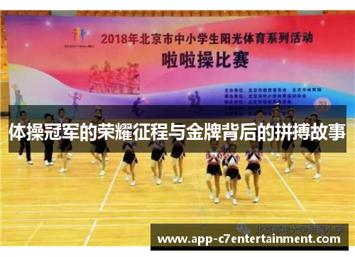 体操冠军的荣耀征程与金牌背后的拼搏故事